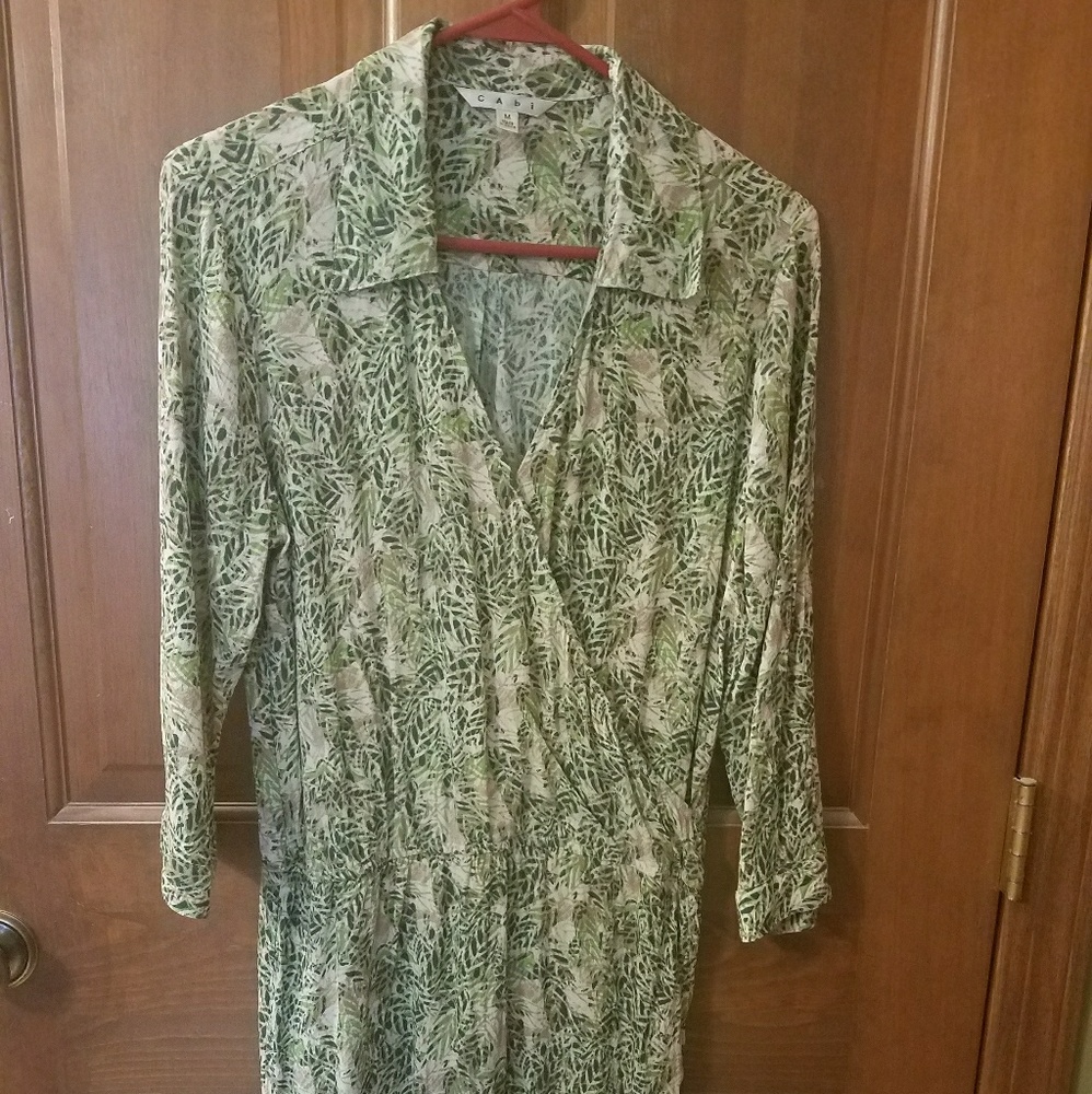 CAbi dress
